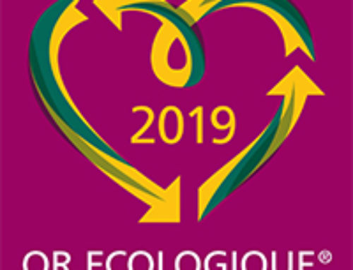 Or écologique : un choix responsable pour un avenir durable